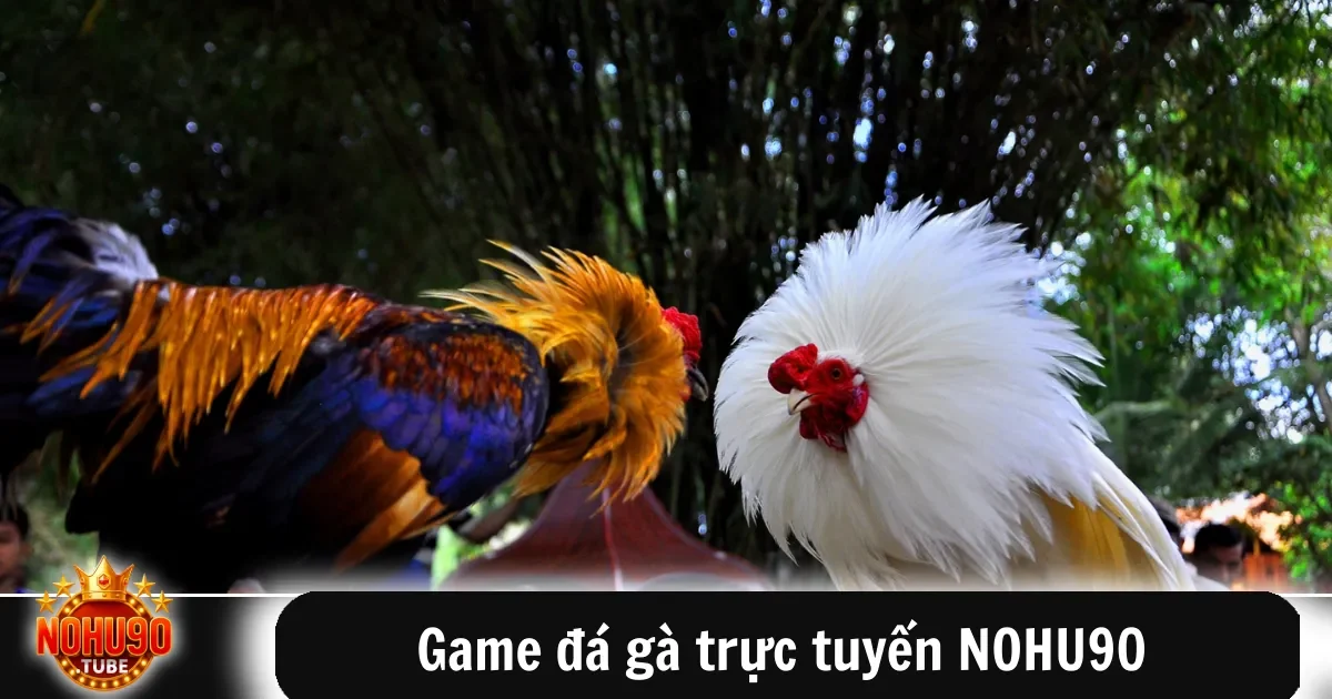 Game Đá Gà Trực Tuyến Nohu90 Theo Dõi Trận Đấu Kịch Tính 2 Game đá gà trực tuyến NOHU90 – Cuồng nhiệt cùng trận đấu gay cấn
