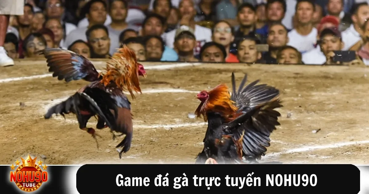 Game Đá Gà Trực Tuyến Nohu90 Theo Dõi Trận Đấu Kịch Tính 3 Game đá gà trực tuyến NOHU90 đã trở thành một trong những hoạt động giải trí phổ biến và hấp dẫn đối với nhiều người yêu thích môn thể thao truyền thống này.