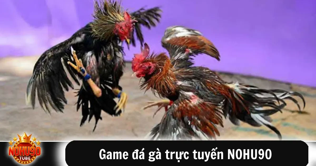Game Đá Gà Trực Tuyến Nohu90 Theo Dõi Trận Đấu Kịch Tính 4 Việc thưởng thức Game đá gà trực tuyến NOHU90 không khó khăn, miễn là bạn nắm rõ quy trình từ xem trận đấu cho đến đặt cược.